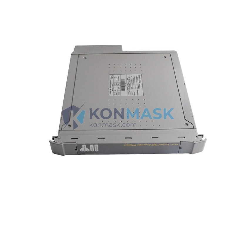 ICS TRIPLEX T8311C - Technical Label and Specifications