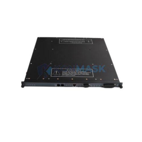 TRICONEX 3008N - Front Panel and Connectivity View