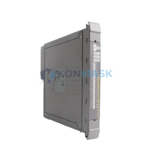 ICS TRIPLEX T8461 - Front Panel and Connectivity View