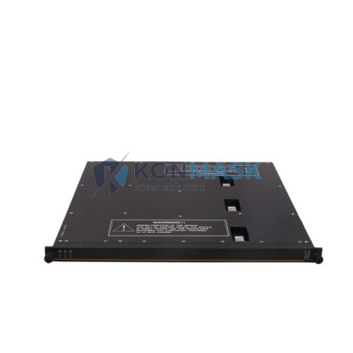 TRICONEX 3700A - Front Panel and Connectivity View