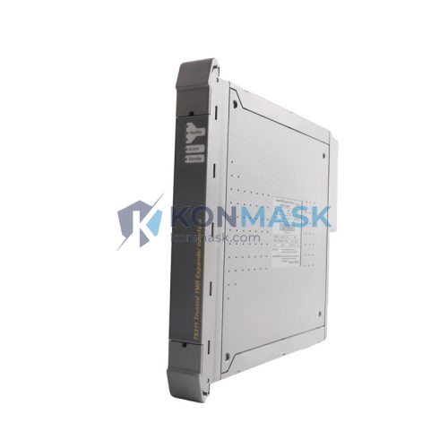 ICS TRIPLEX T8311C - Front Panel and Connectivity View