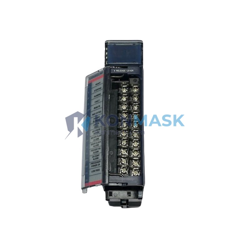 GE IC694MDL940F - Front Panel and Connectivity View