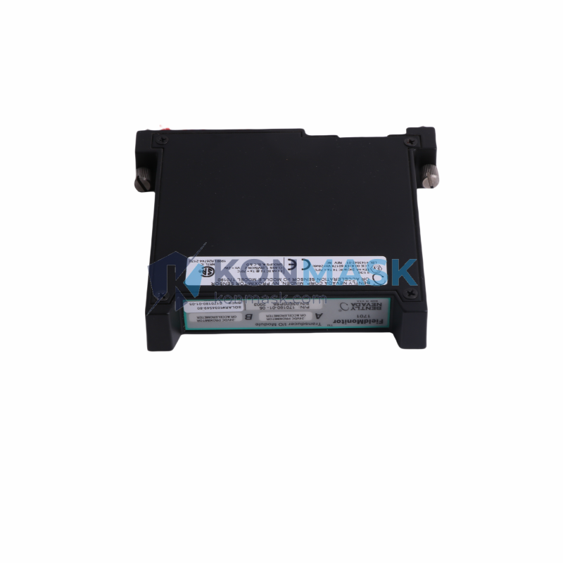 Bently Nevada 4170180-01-05 - Front Panel and Connectivity View