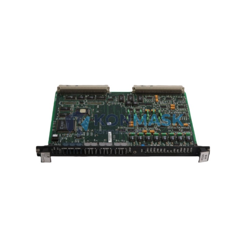 GE DS200FCGDH1BAA - Technical Label and Specifications
