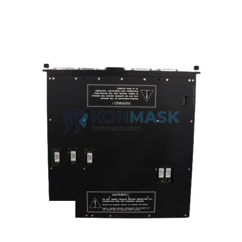 TRICONEX 4119A - Front Panel and Connectivity View