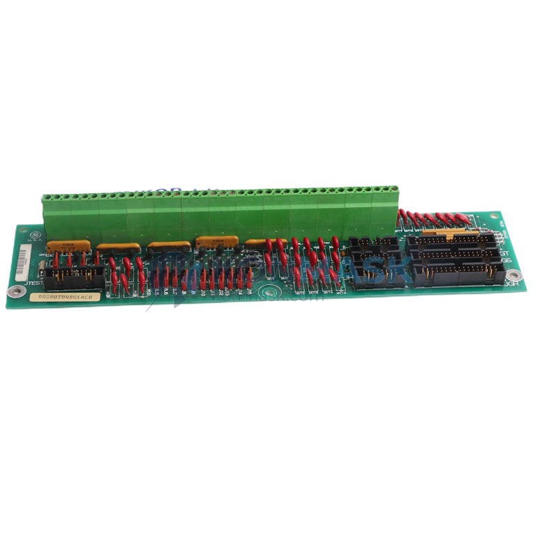 General Electric DS200TBQBG1ACB - Technical Label and Specifications