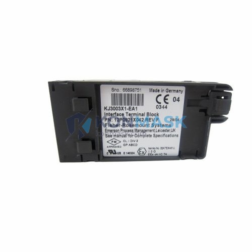 EMERSON KJ3003X1-EA1 DeltaV Series - Front Panel and Connectivity View