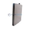ICS TRIPLEX T3481A Trusted™ TMR (Triple Modular Redundancy) - Front Panel and Connectivity View