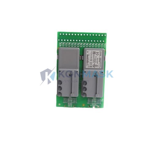 ICS TRIPLEX T9802 - Front Panel and Connectivity View