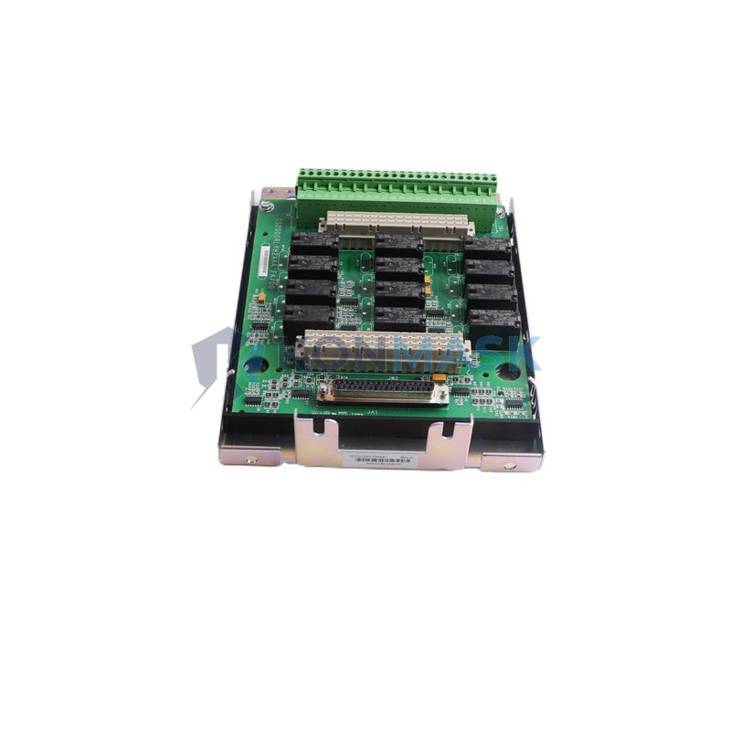 General Electric IS230SRLYH2A IS200SRLYH2AAA - Technical Label and Specifications