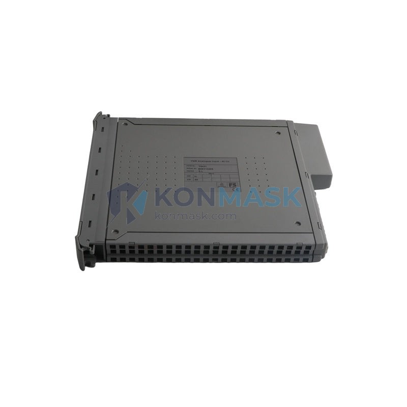 ICS TRIPLEX T8310C - Technical Label and Specifications